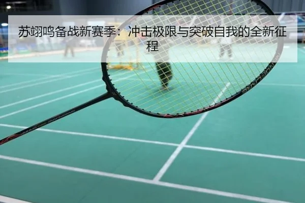 苏翊鸣备战新赛季：冲击极限与突破自我的全新征程