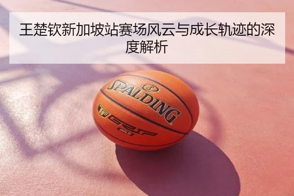 王楚钦新加坡站赛场风云与成长轨迹的深度解析
